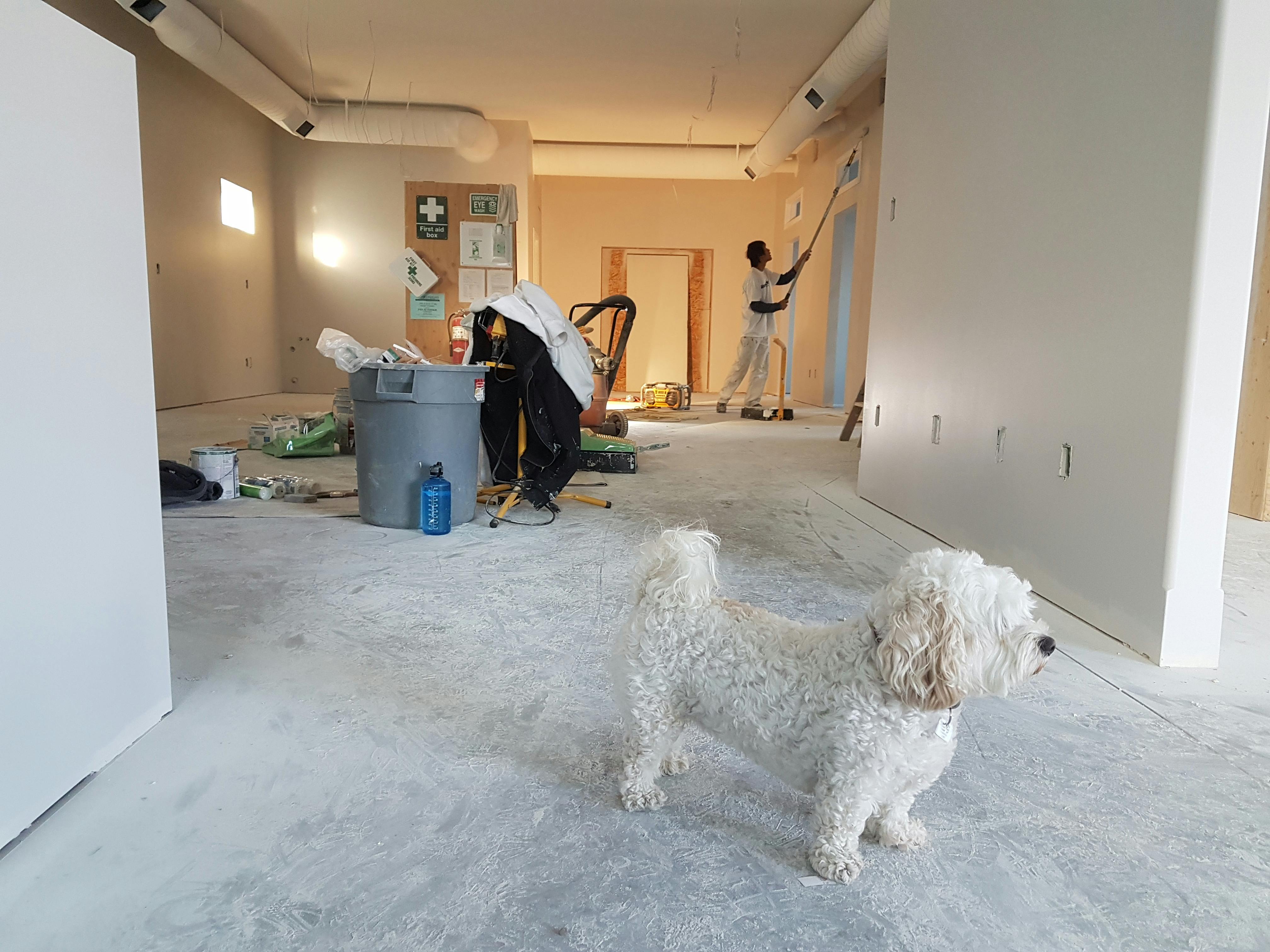 After renovation cleaning service in County Kerry