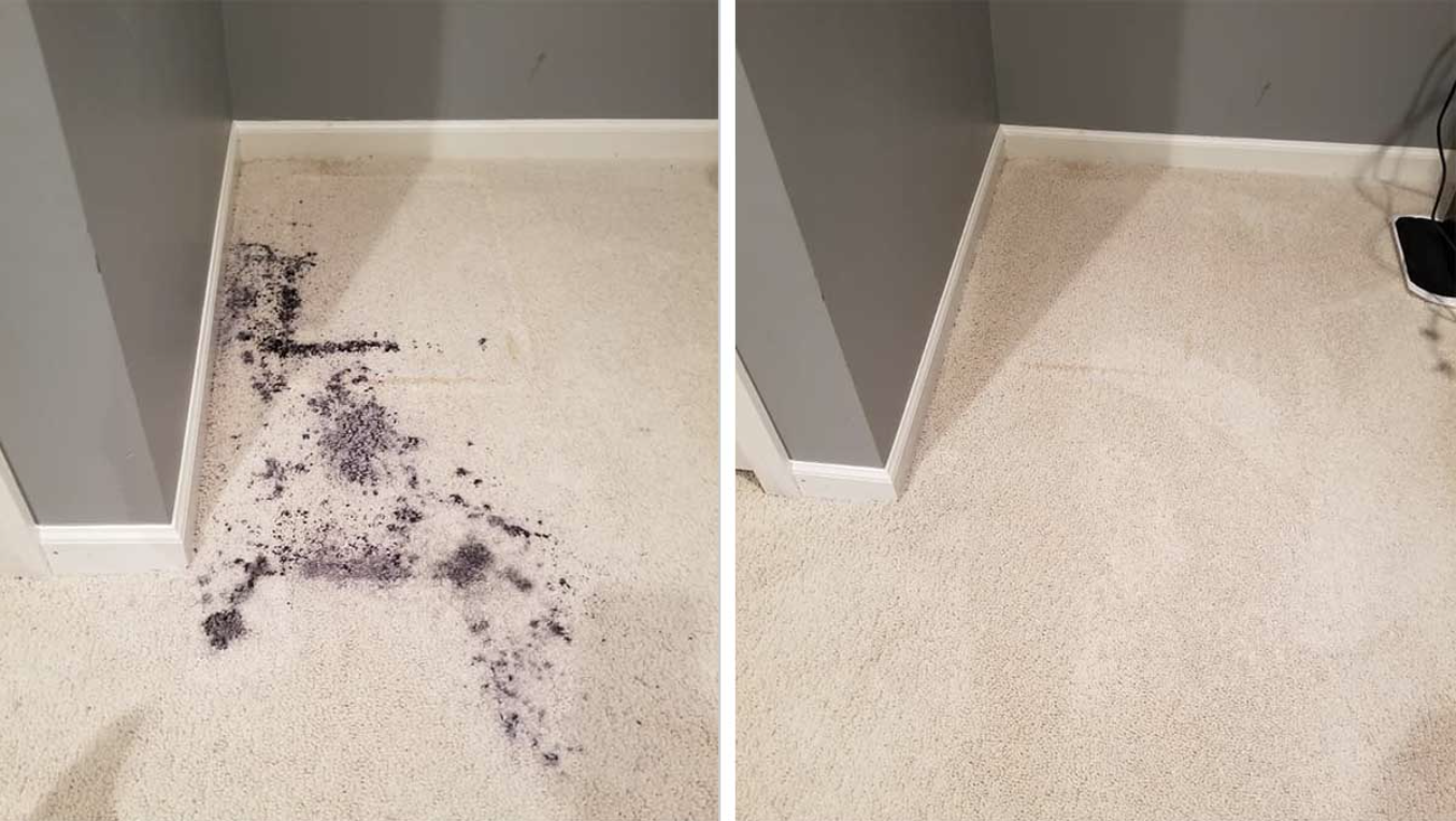 Carpet stain removal before after Killarney