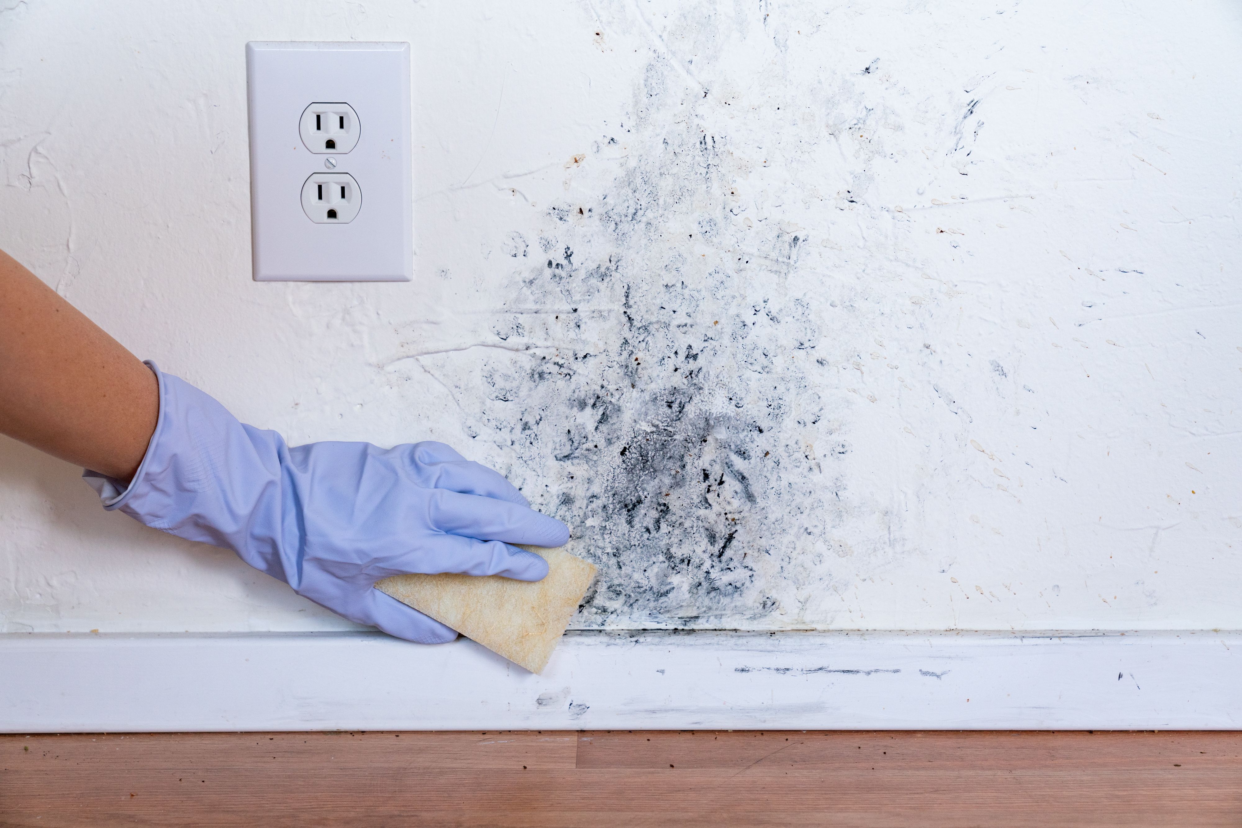 Mould treatment and wall cleaning in Killarney, Kerry